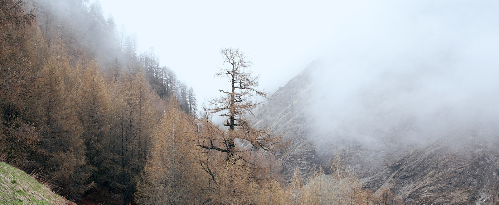 电话短信轰炸机