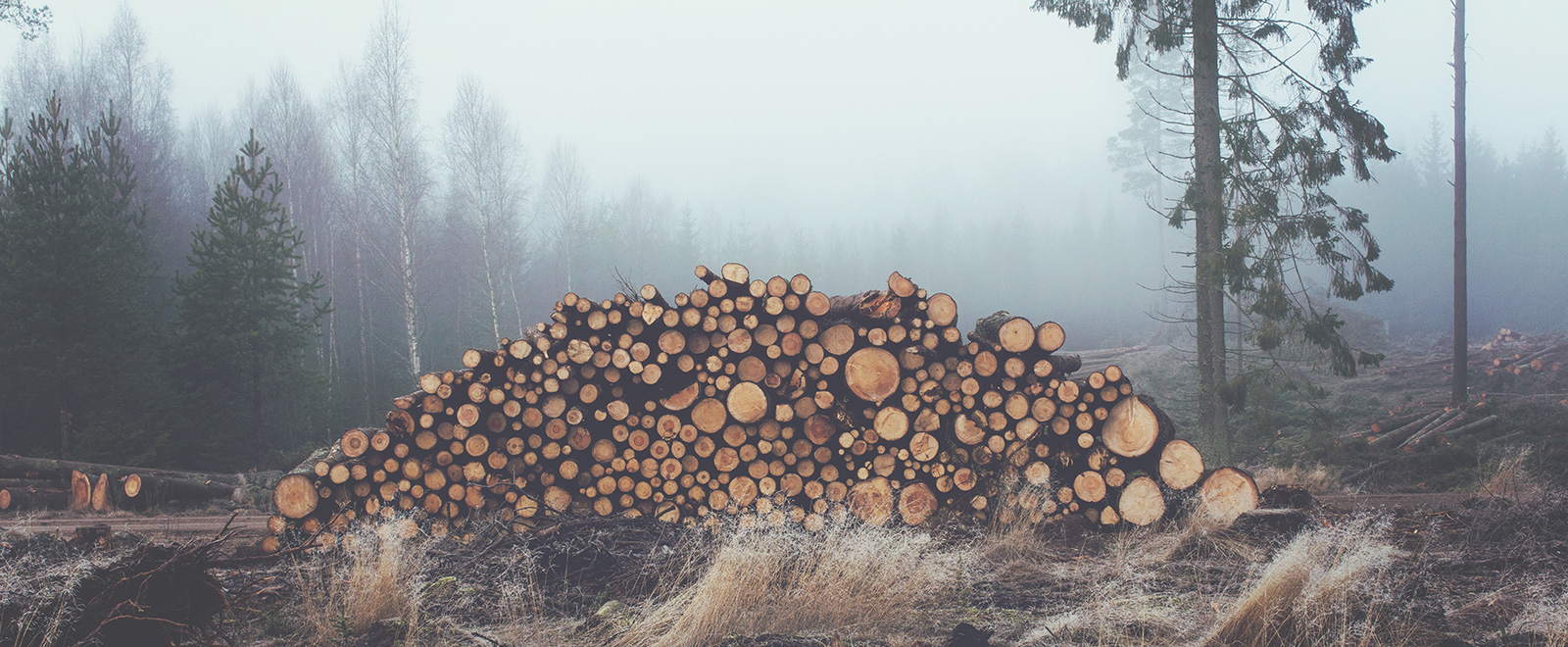 电话轰在线轰炸免费下载